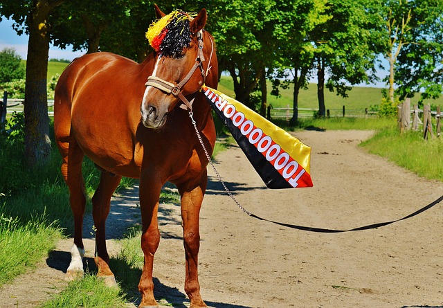 从而为品牌 从而为品牌