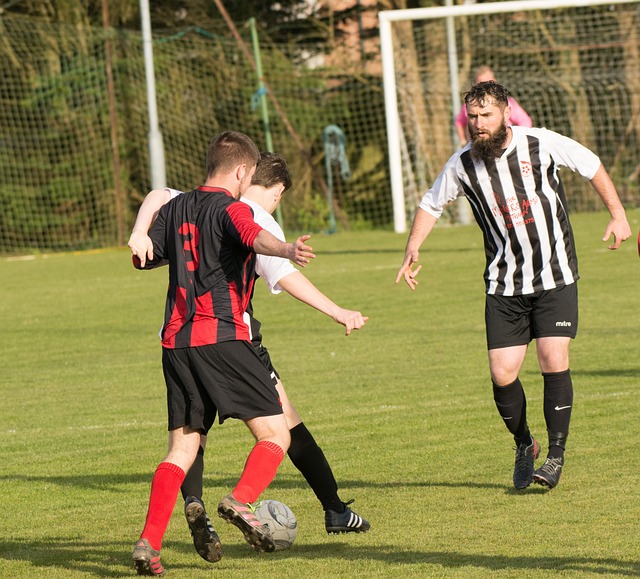 在维护团队 在维护团队