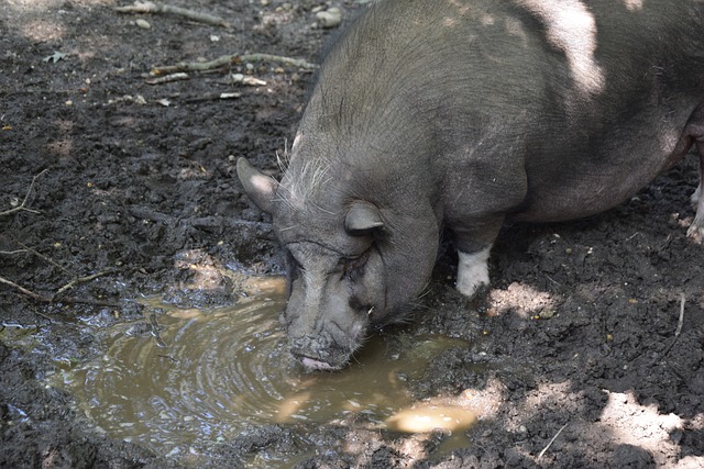 個與朋友分 個與朋友分