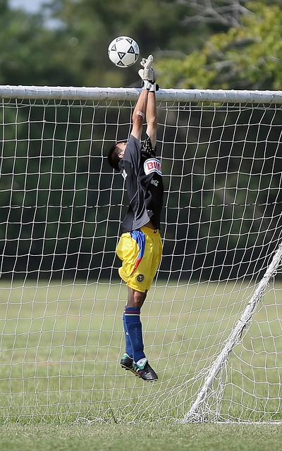 因素审慎评 因素审慎评