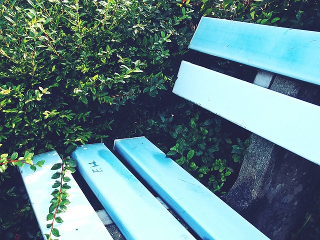 巴赫强调的 巴赫强调的